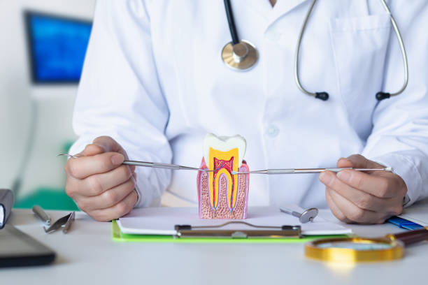Best Same-Day Emergency Dental Services in West Ishpeng, MI